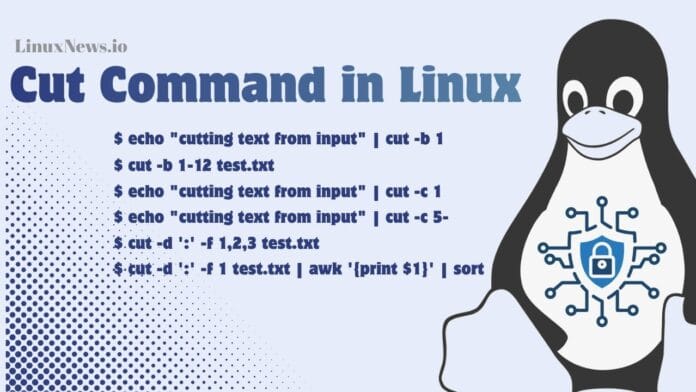 Linux Cut Command Examples